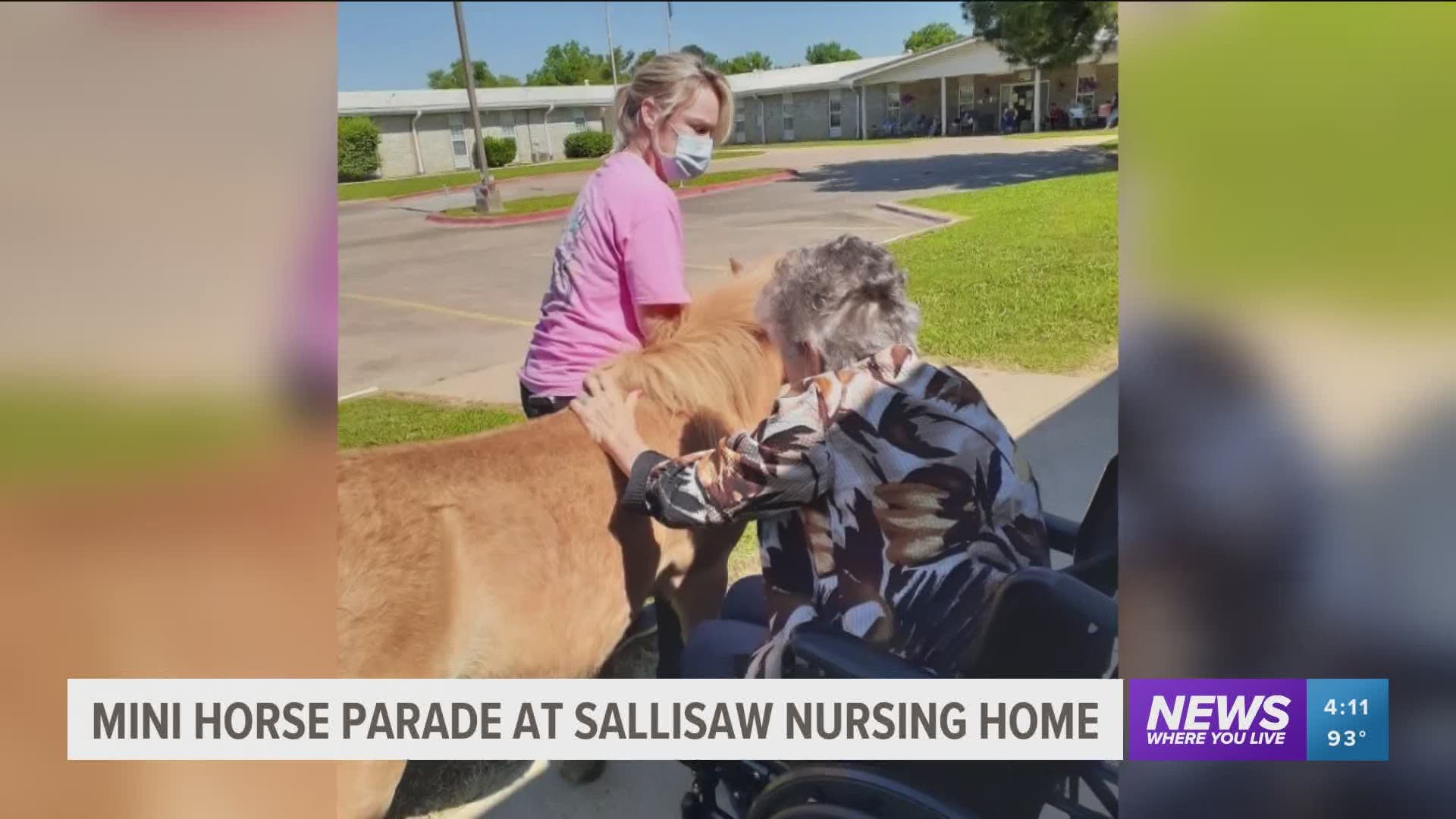 Residents were treated to a parade of miniature horses outside of the nursing home.