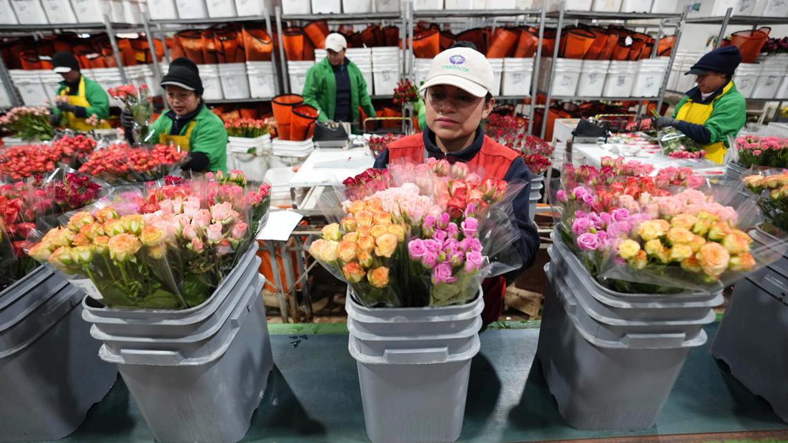 Mother's Day 2026 events in our area