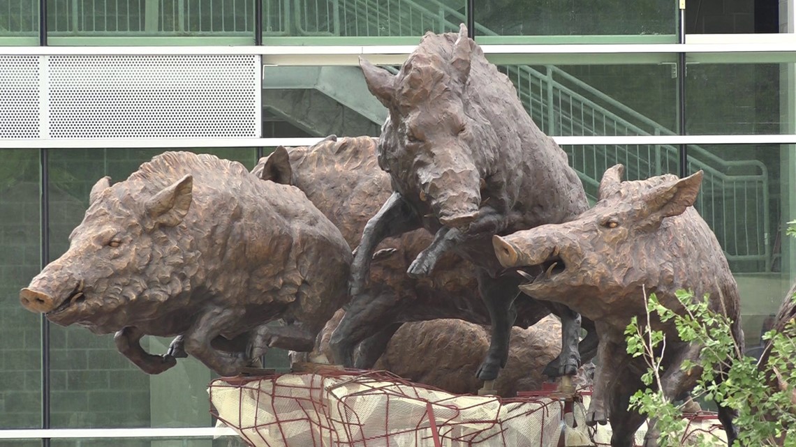 Six Massive Hog Statues Being Added To Reynolds Razorback Stadium