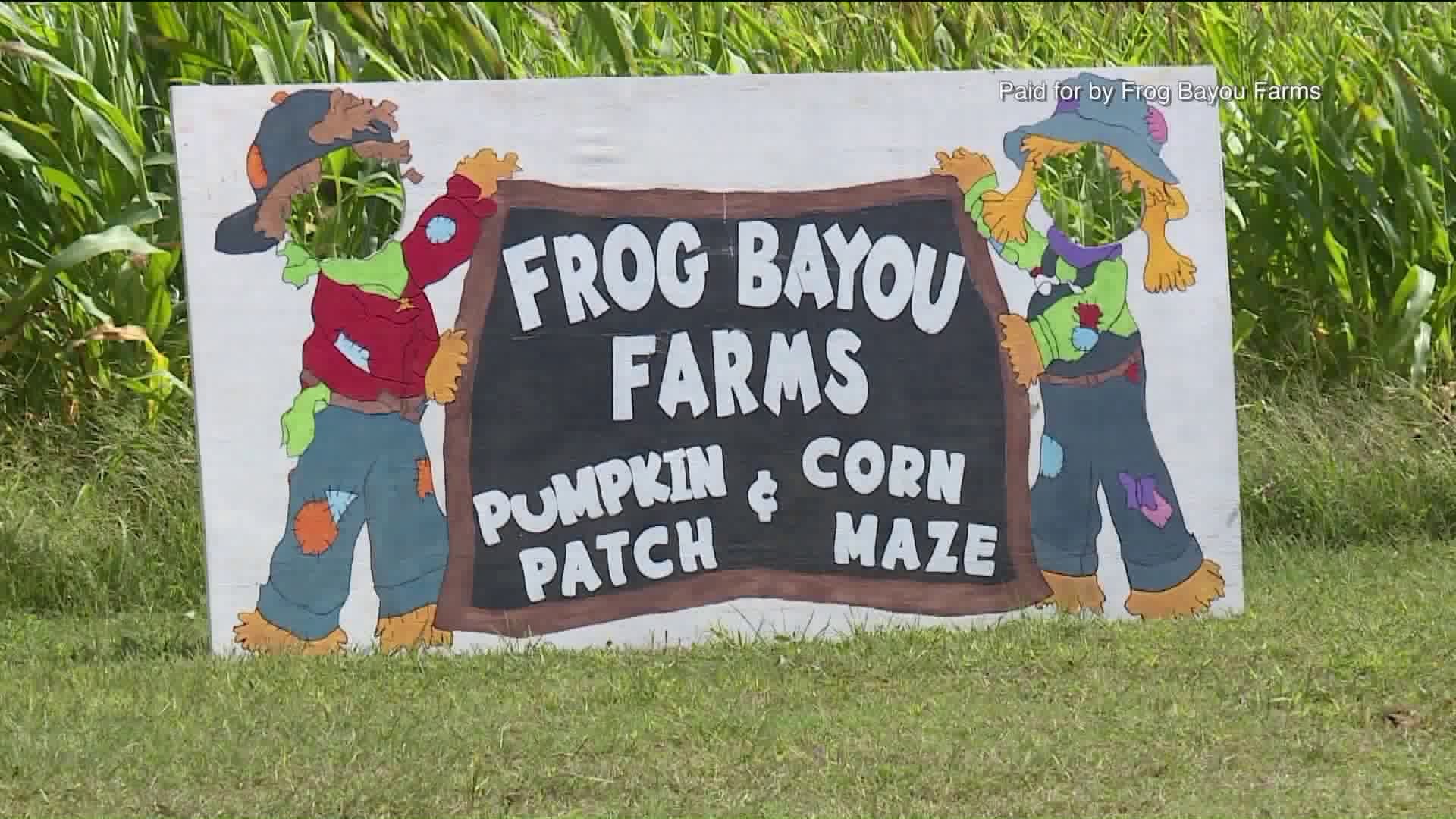 Frog Bayou Farms Pumpkin Patch and Corn Maze
