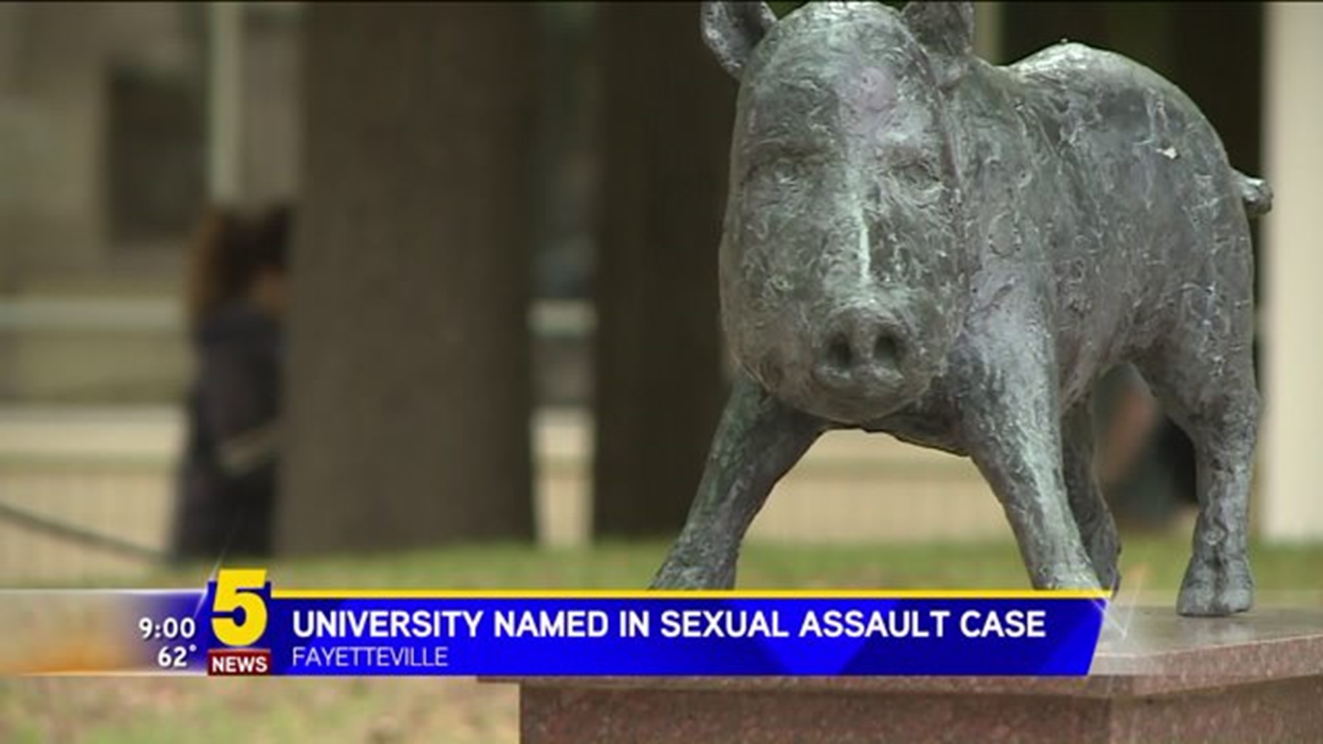 Sex Assault Investigations UofA