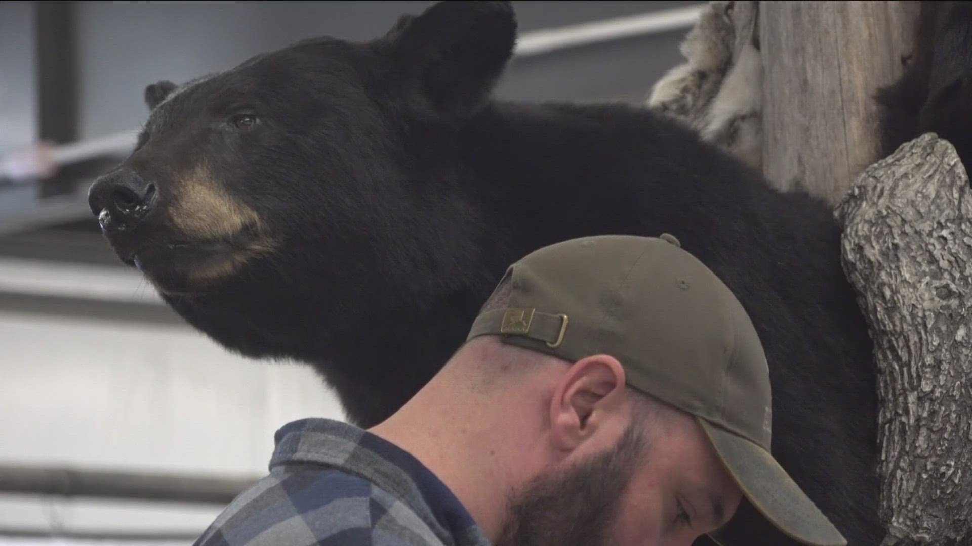 THE BENTON COUNTY FAIRGROUNDS WERE FULL OF CAMO AND FUR PELTS FOR THE 3RD ANNUAL "BLACK BEAR BONANZA" HELD TODAY.