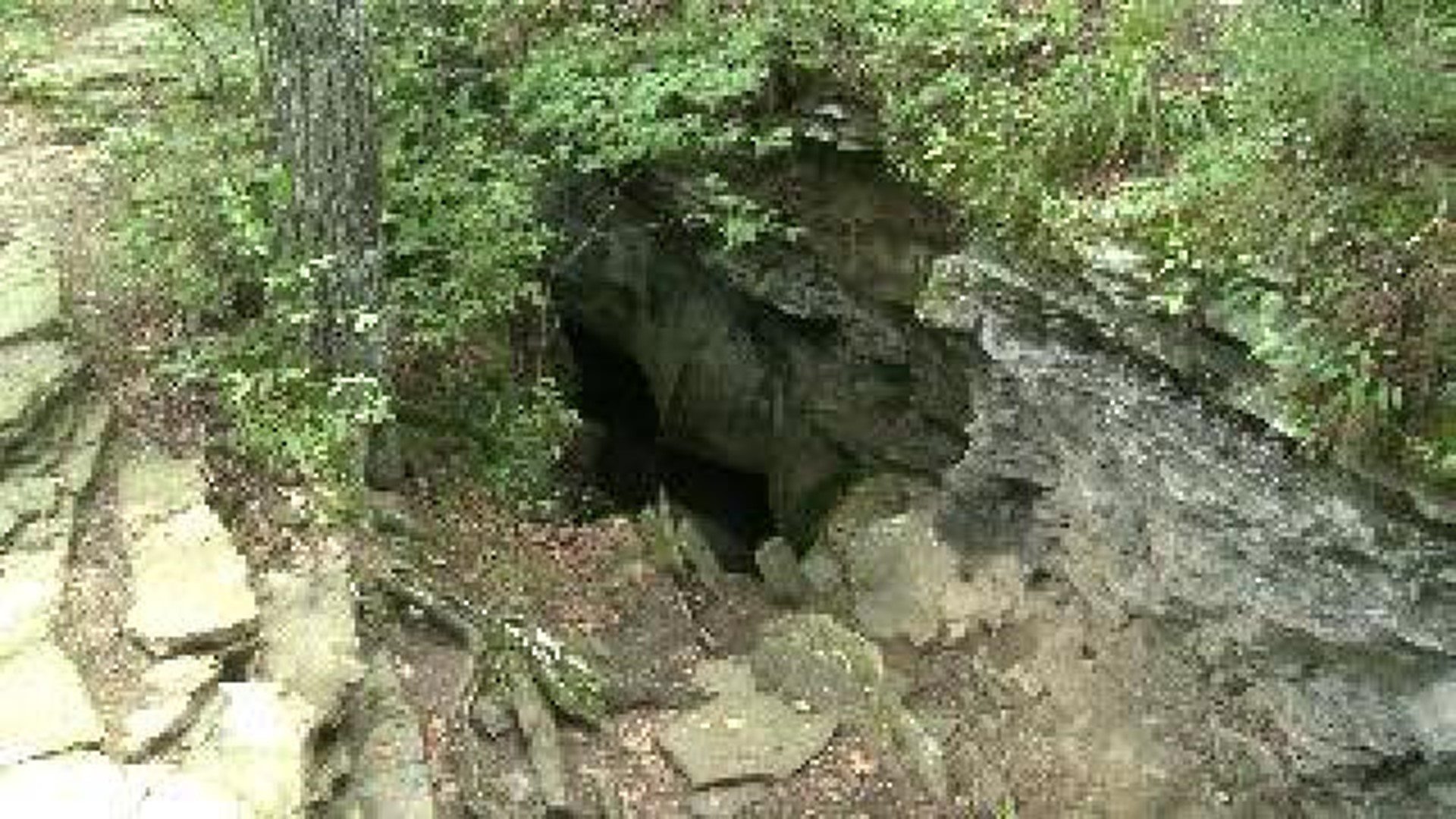 Deadly Fungus Found in Cave at Devil\'s Den State Park