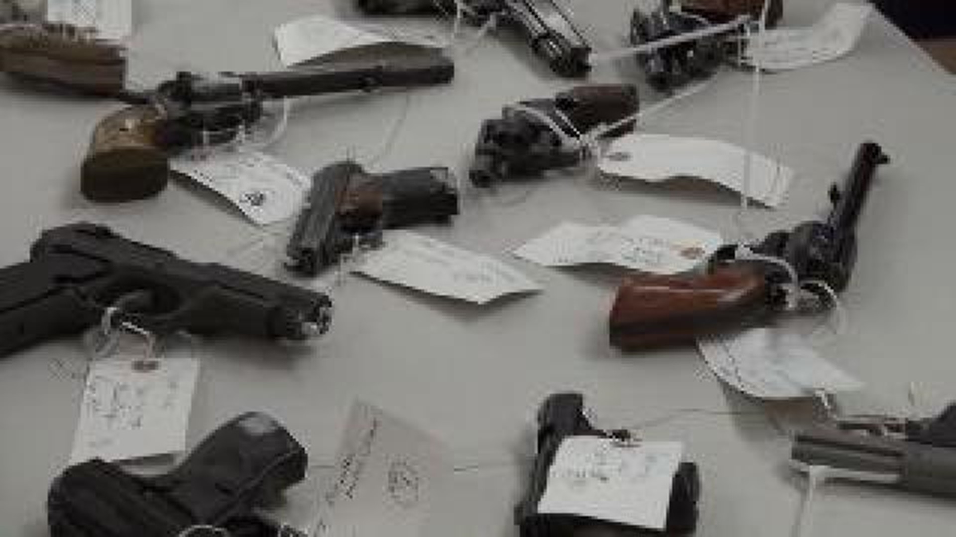 LeFlore County Gun Auction