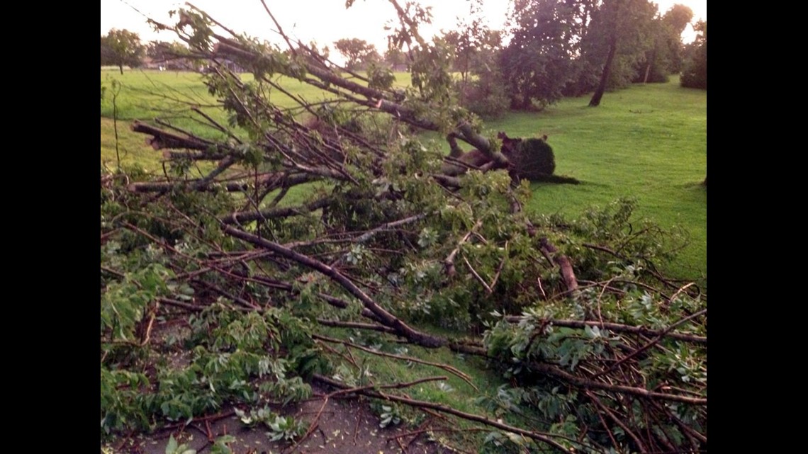 Severe Weather Uproots Trees In Pocola