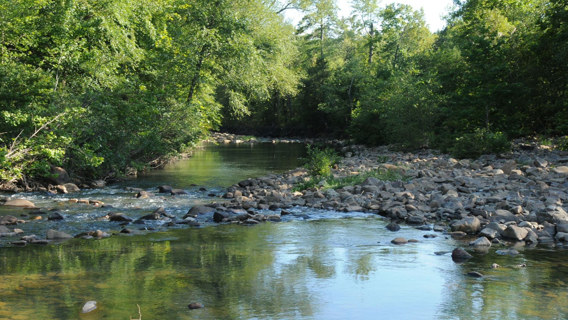 The War Eagle Creek Watershed (WECW) Initiative will advance landscape-scale conservation and provide source water protection for residents in Northwest Arkansas.