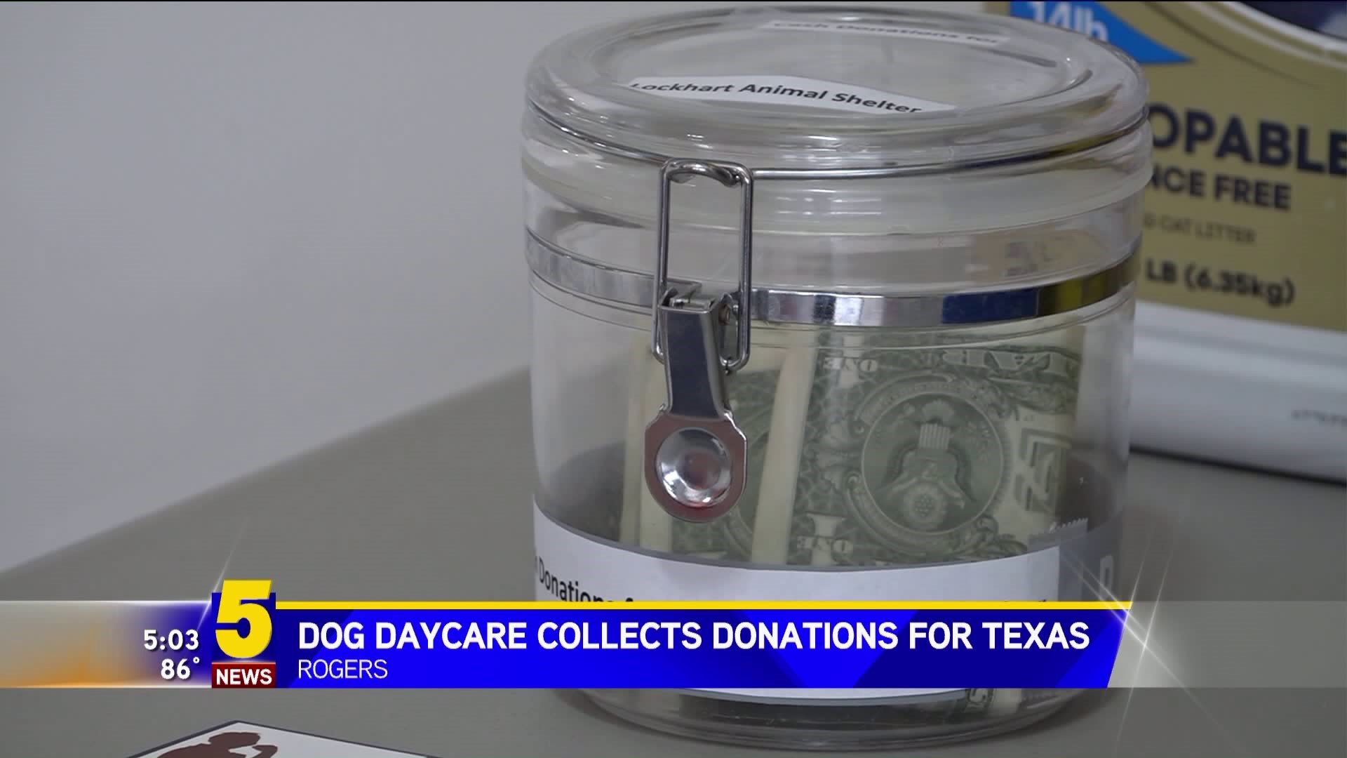 Dog Daycare Collects Donations For Houston