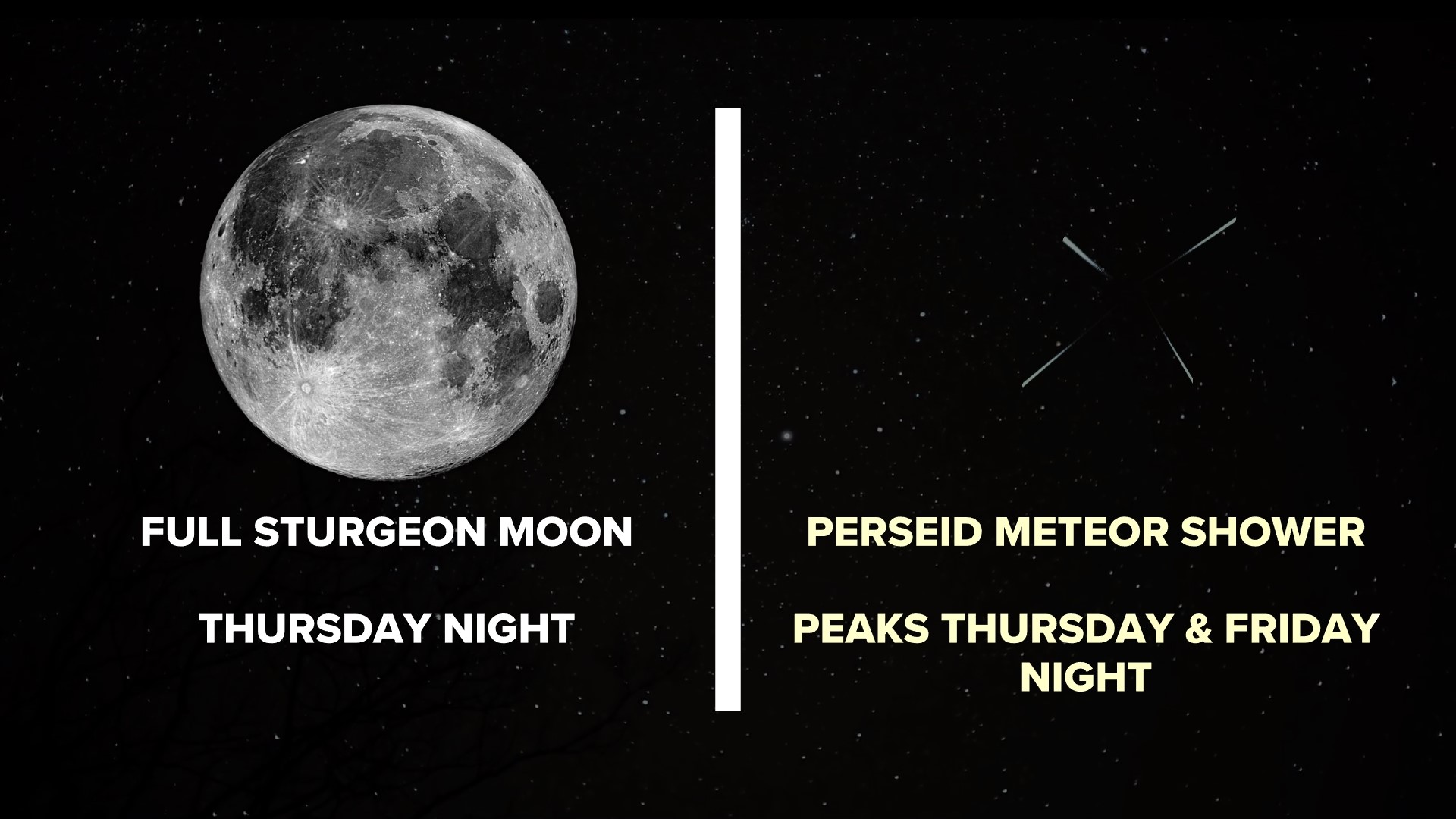 Perseid Meteor Shower 2022 Where To Look