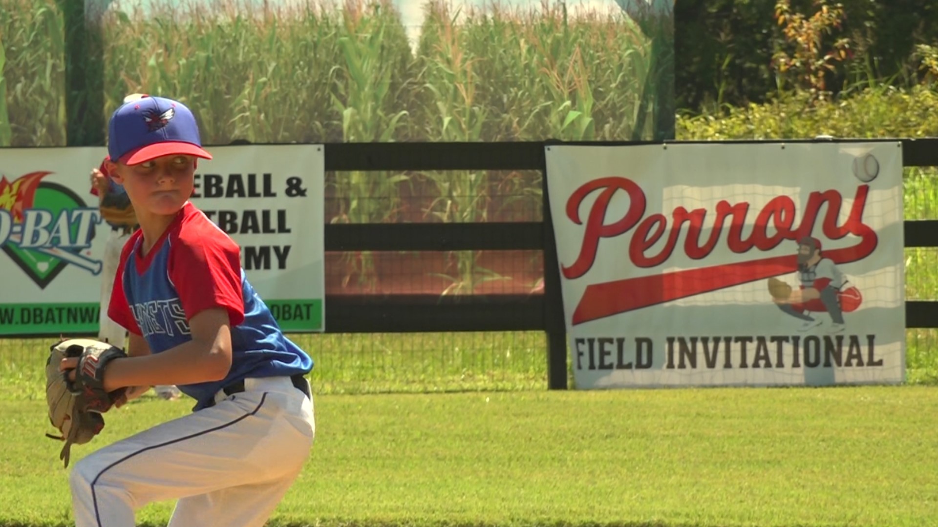 Sam Perroni built a baseball field in his backyard and now hosts tournaments to raise money for Alzheimer's research.
