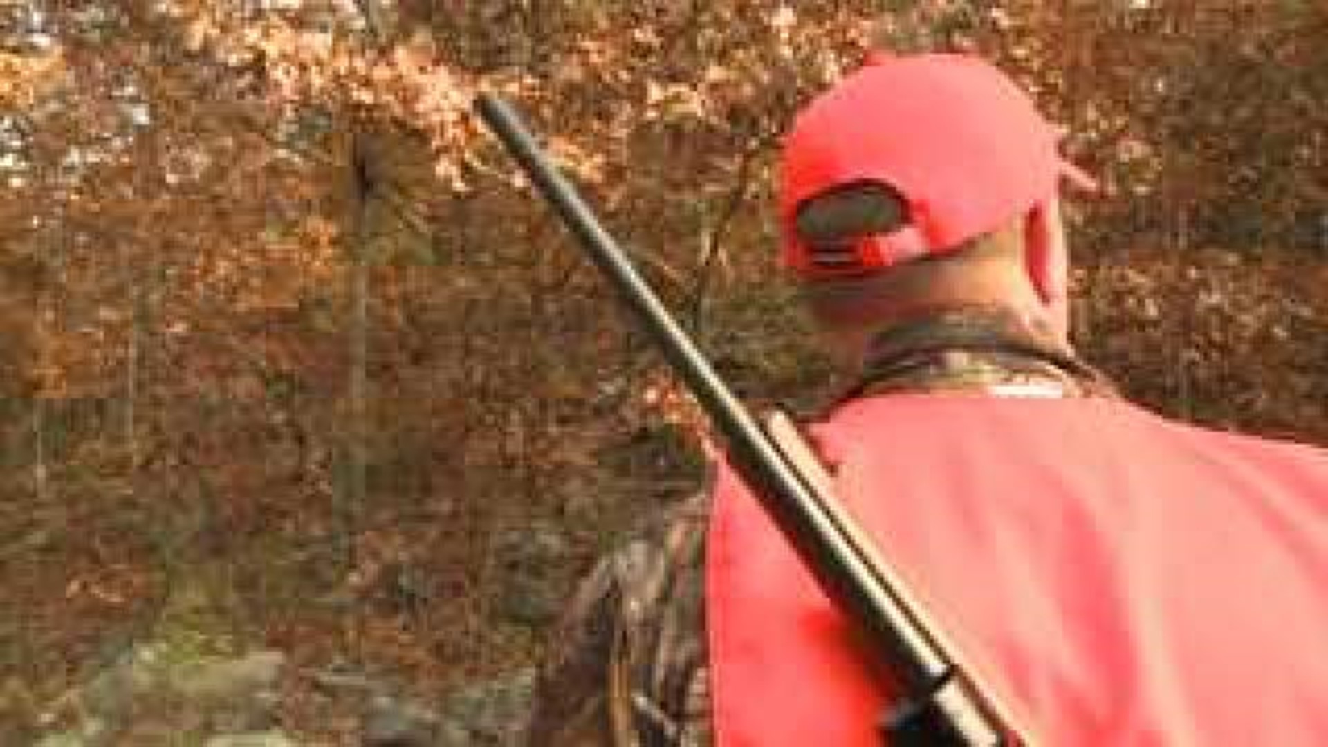 Modern Gun Season Opens Across Arkansas