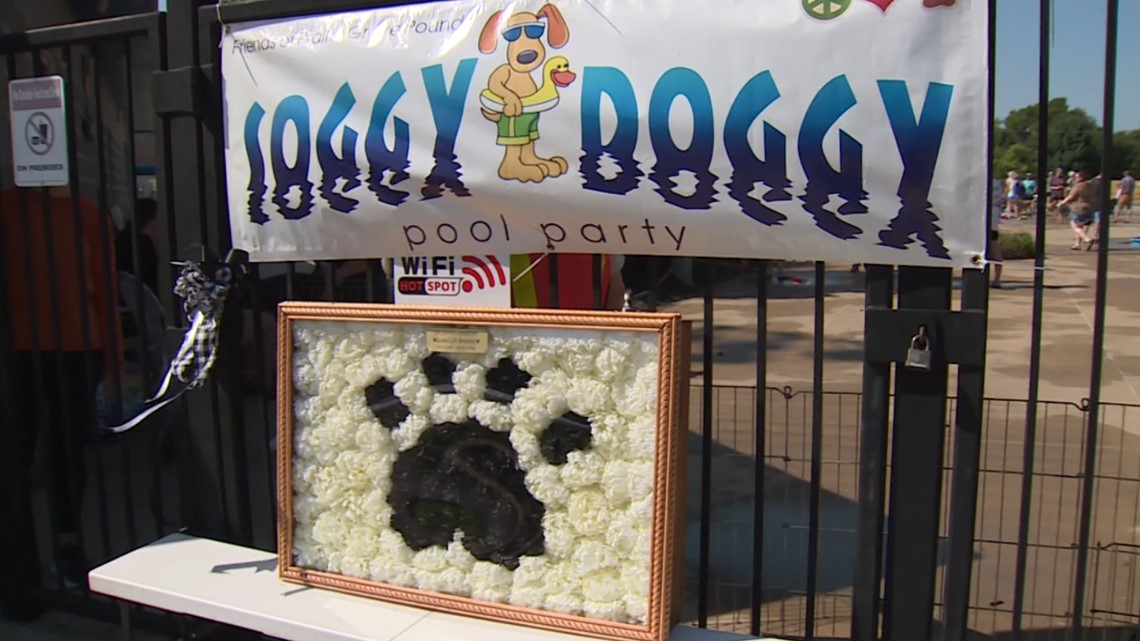 Soggy Doggy fundraiser event held in NWA