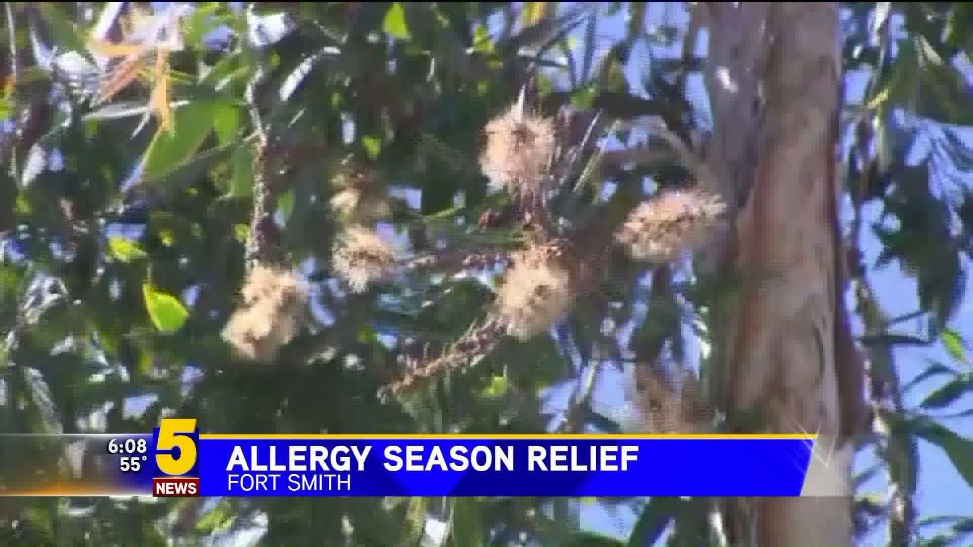 Allergy Season Relief