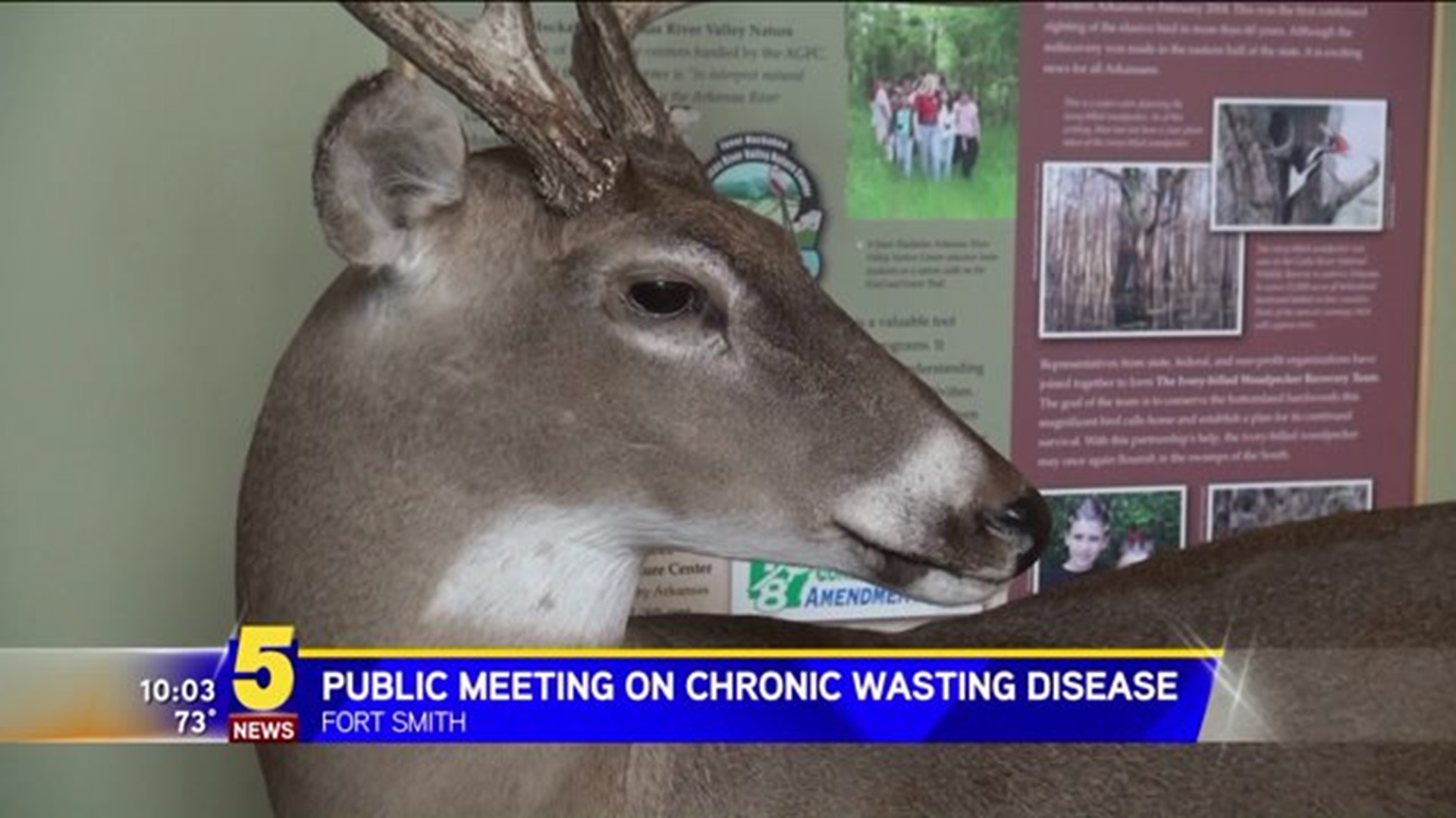 Meeting On Chronic Wasting Disease