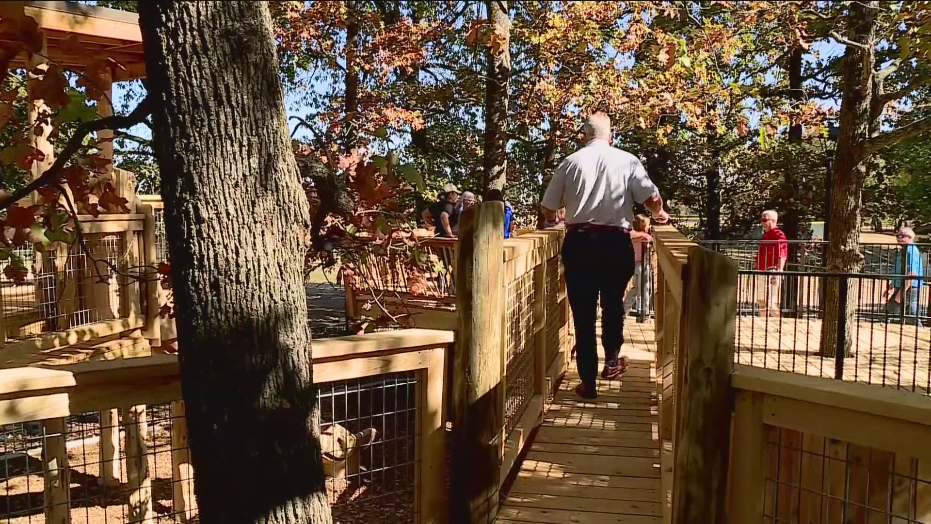 The new treehouse park is named in honor of Gerald Harp, who was a past president of the Springdale Rotary Club. He passed away in 2020.