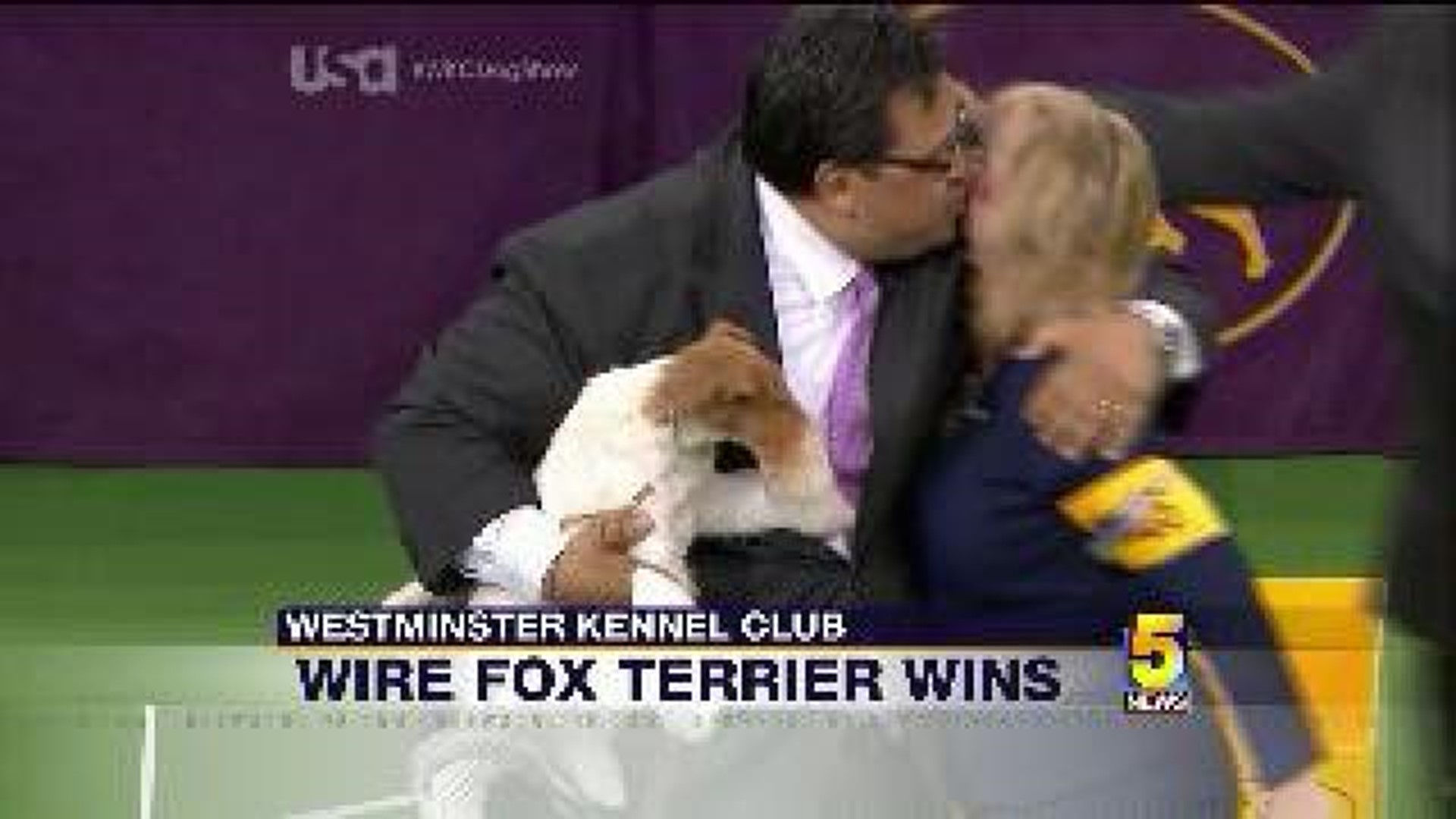 Wire Fox Terrier Wins Top Dog
