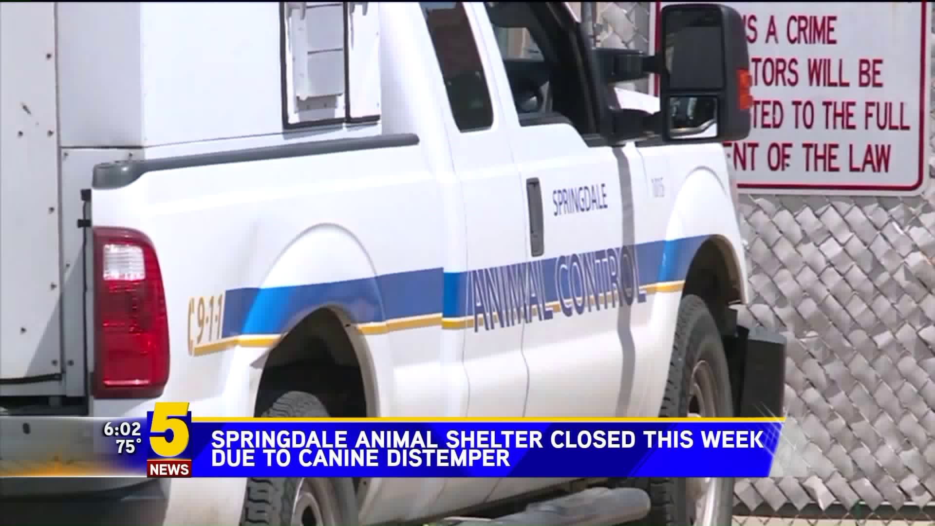 Springdale Animal Shelter Closed for One Week