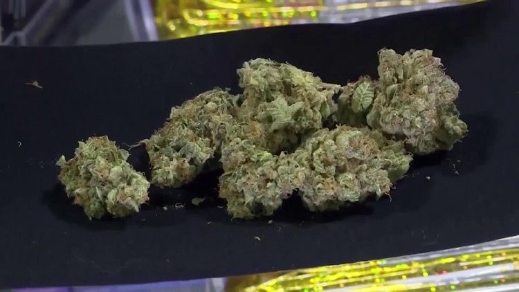 Arkansas reports $23 million in medical marijuana sales last month
