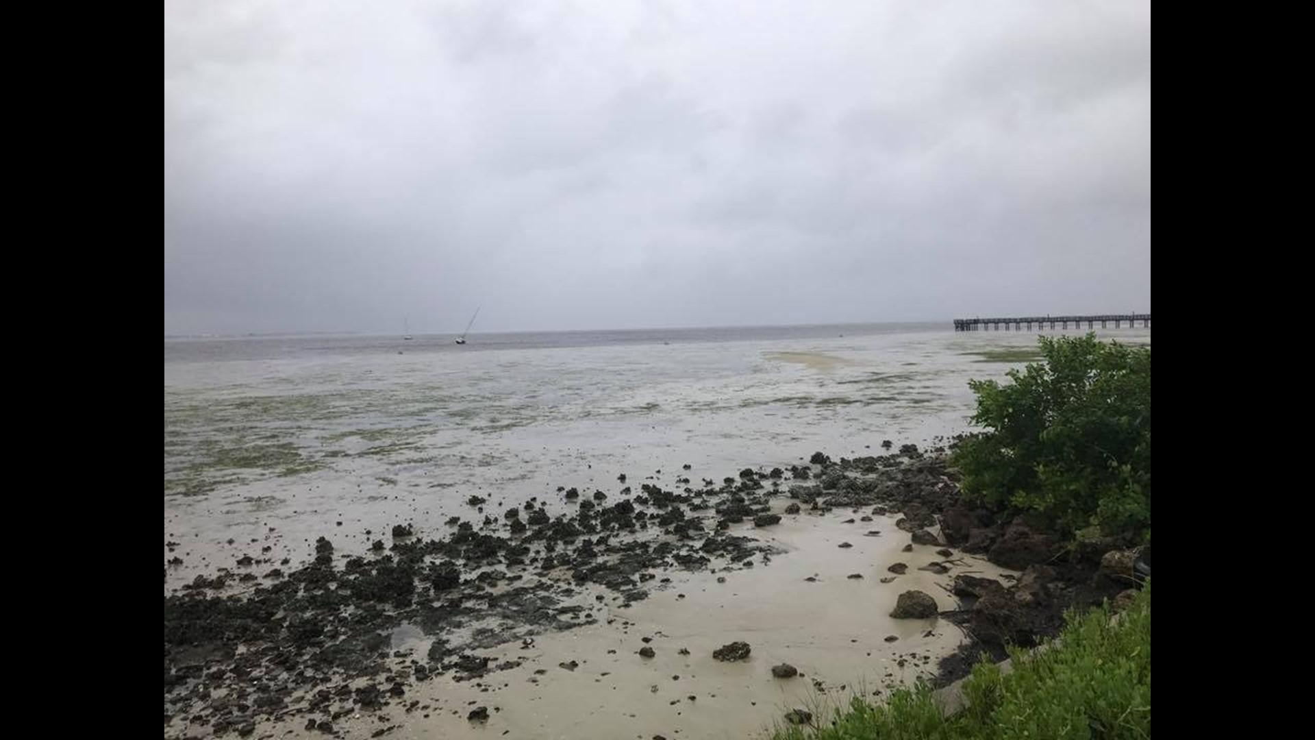 Shorelines Drained In Eerie Effect Of Hurricane Irma