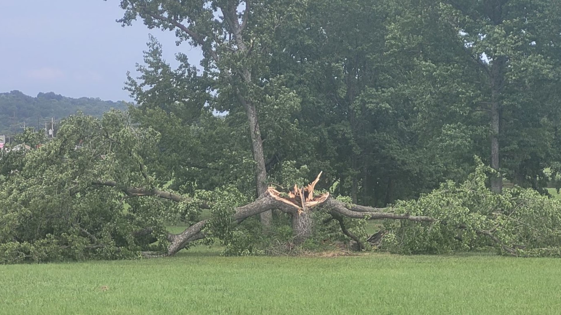 Check Out These Photos Of Severe Weather Damage Near You | 5newsonline.com