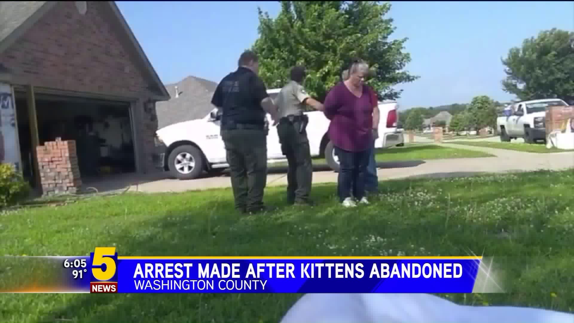 Arrest Made After Kittens Abandoned