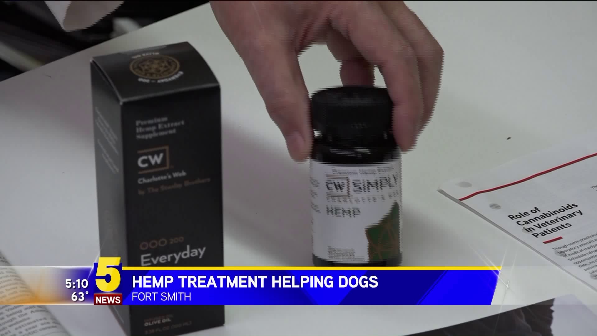 Hemp Treatment Helping Dogs