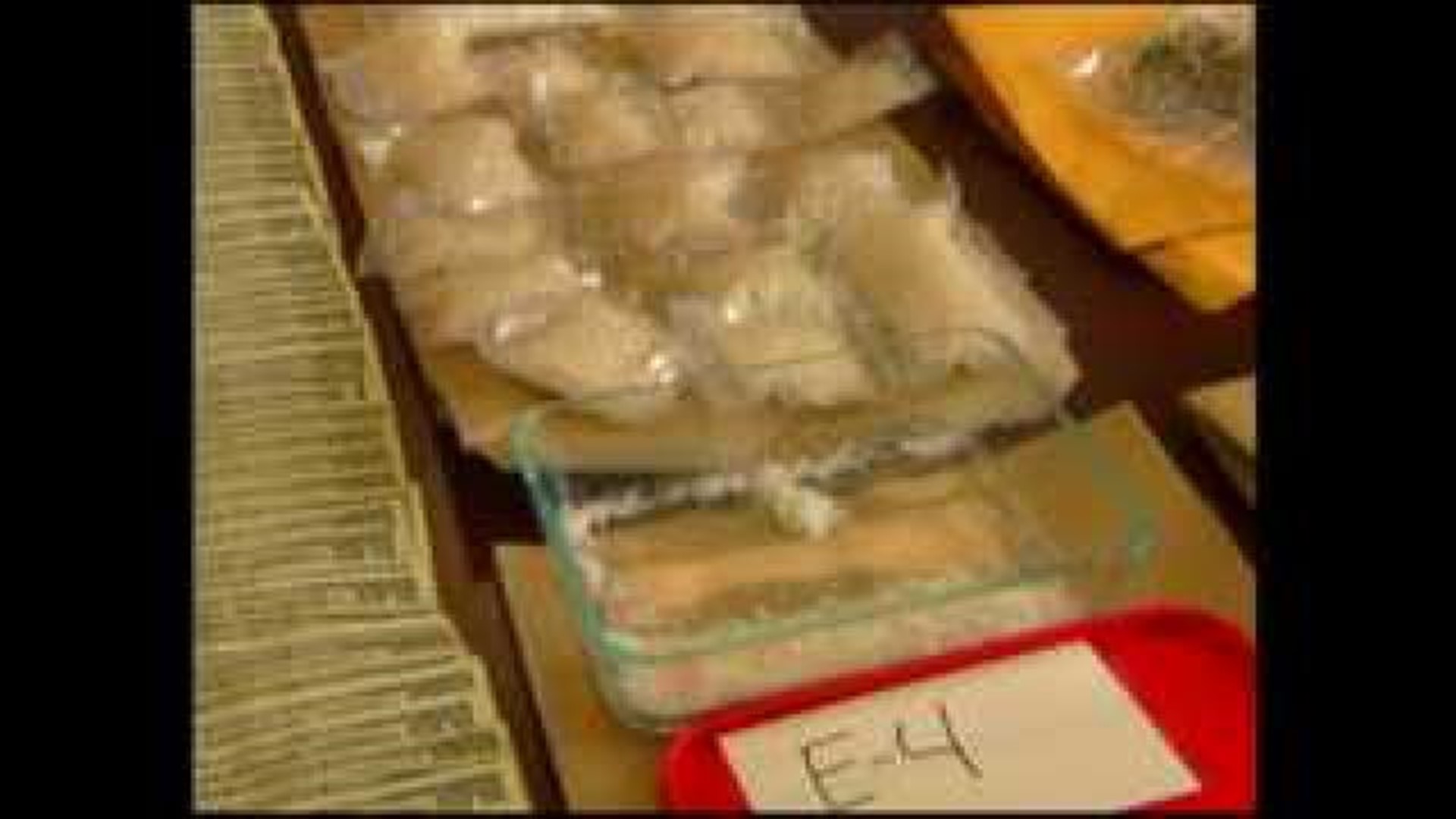 Meth Drug Trafficking Through NWA