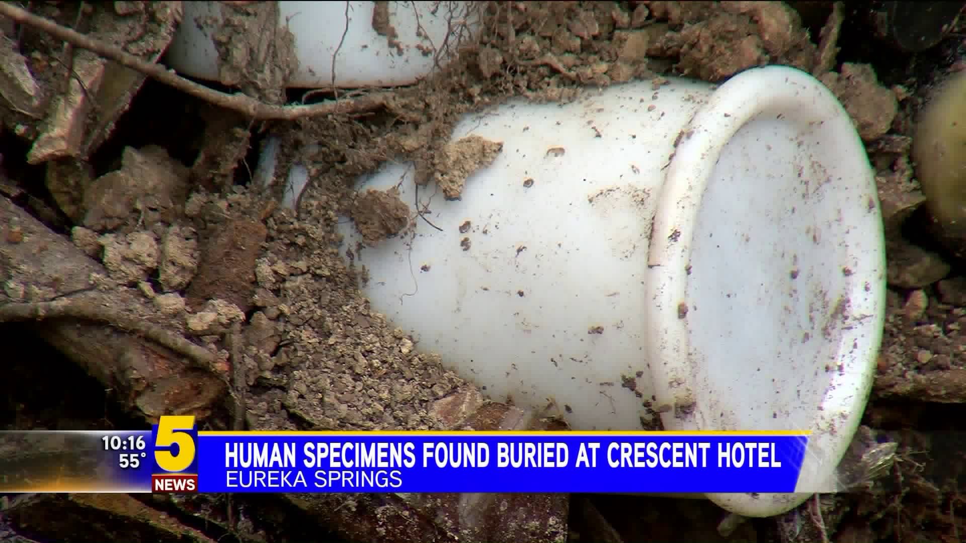 Human Specimens Found Buried at Crescent Hotel