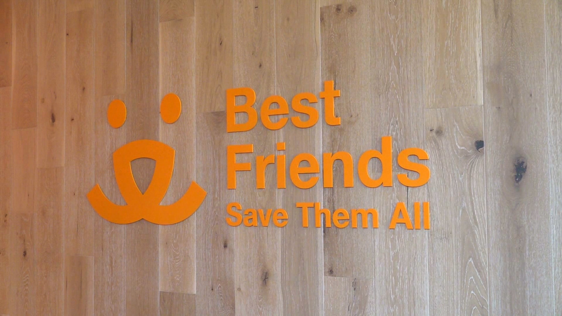 Best Friends offers pet adoption services as well as fostering for families interesting in a furry new member. 🐾