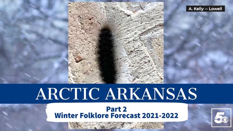 Arctic Arkansas | Part 2 -- Winter Weather Folklore 2021-2022