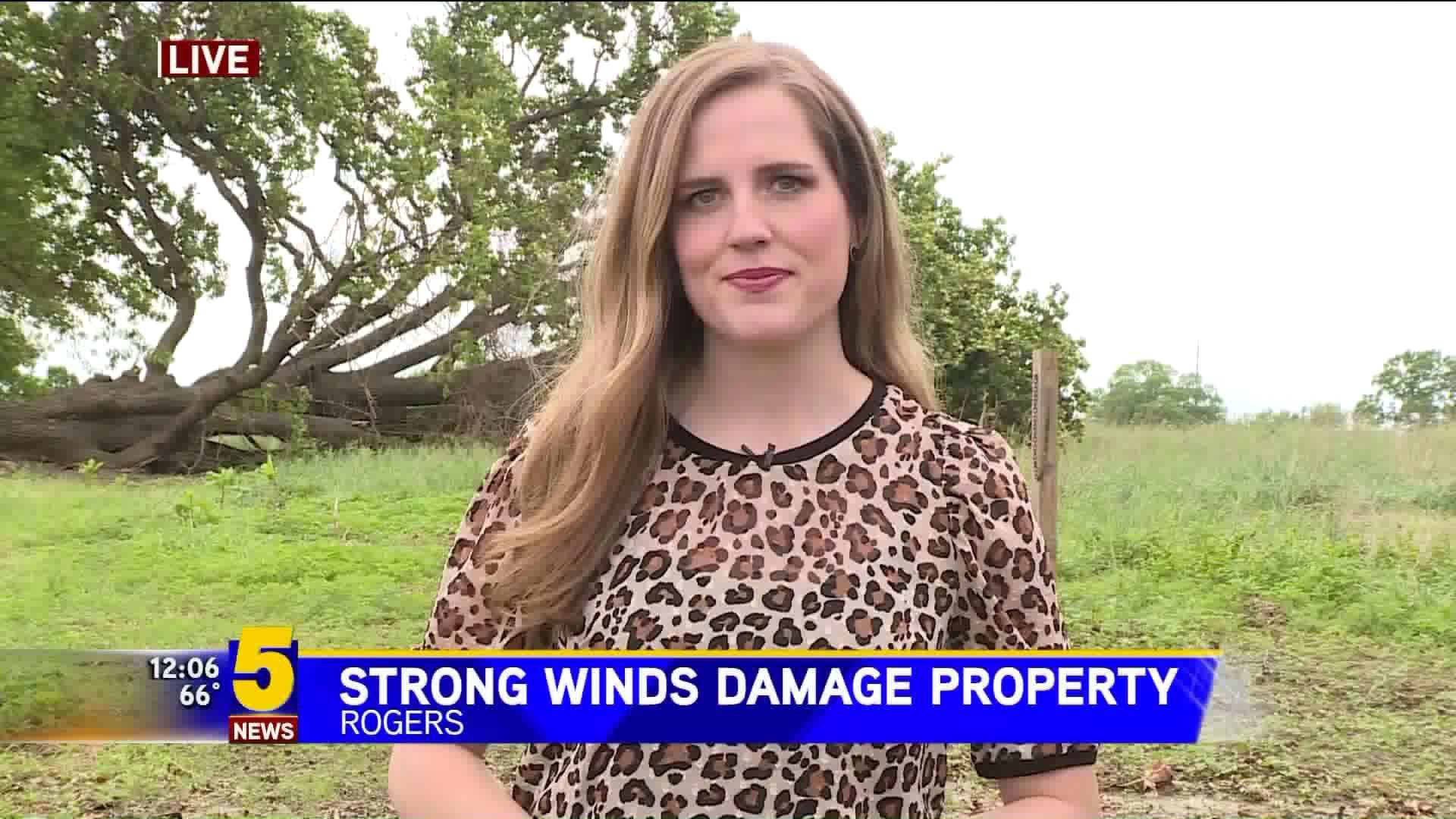 Strong Winds Cause Damage