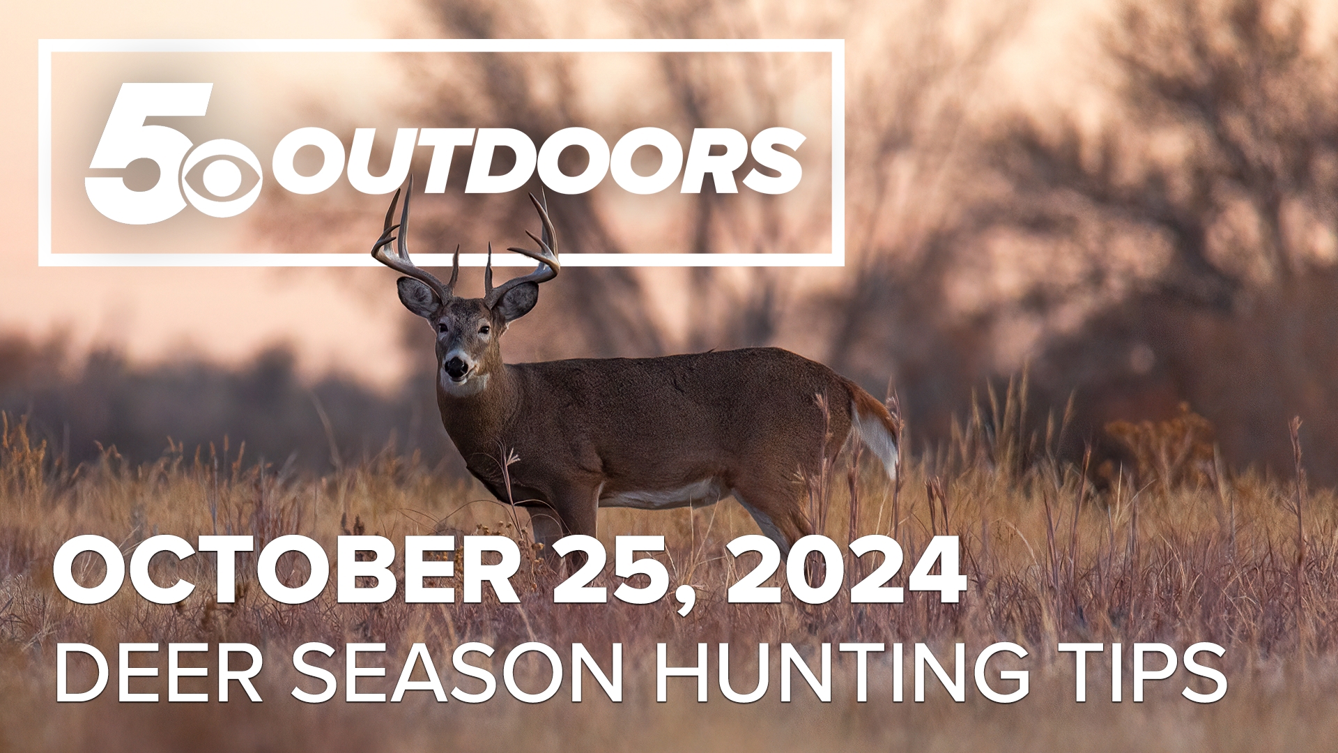 On this week's episode of 5OUTDOORS, Skot sat down with Arkansas Game and Fish Commission's Trey Reid to talk about the beginning of modern gun deer season.