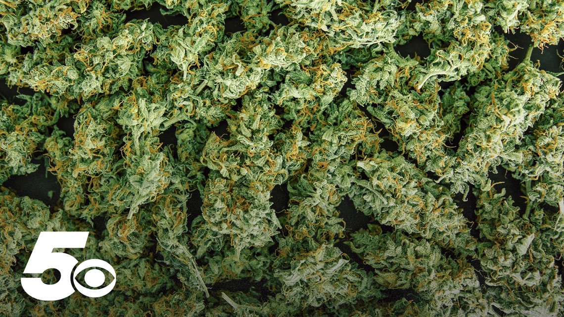Lawsuit filed after recreational marijuana denied for November ballot