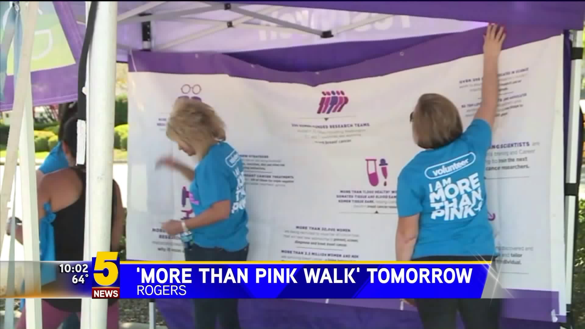 "More Than Pink Walk" Happening Saturday