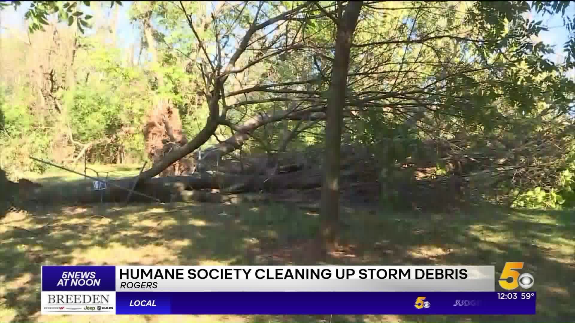 Rogers Animal Shelter Dealing With Storm Damage