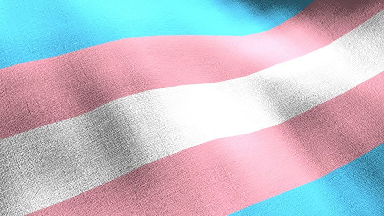 Court won't reconsider block of Arkansas trans care law