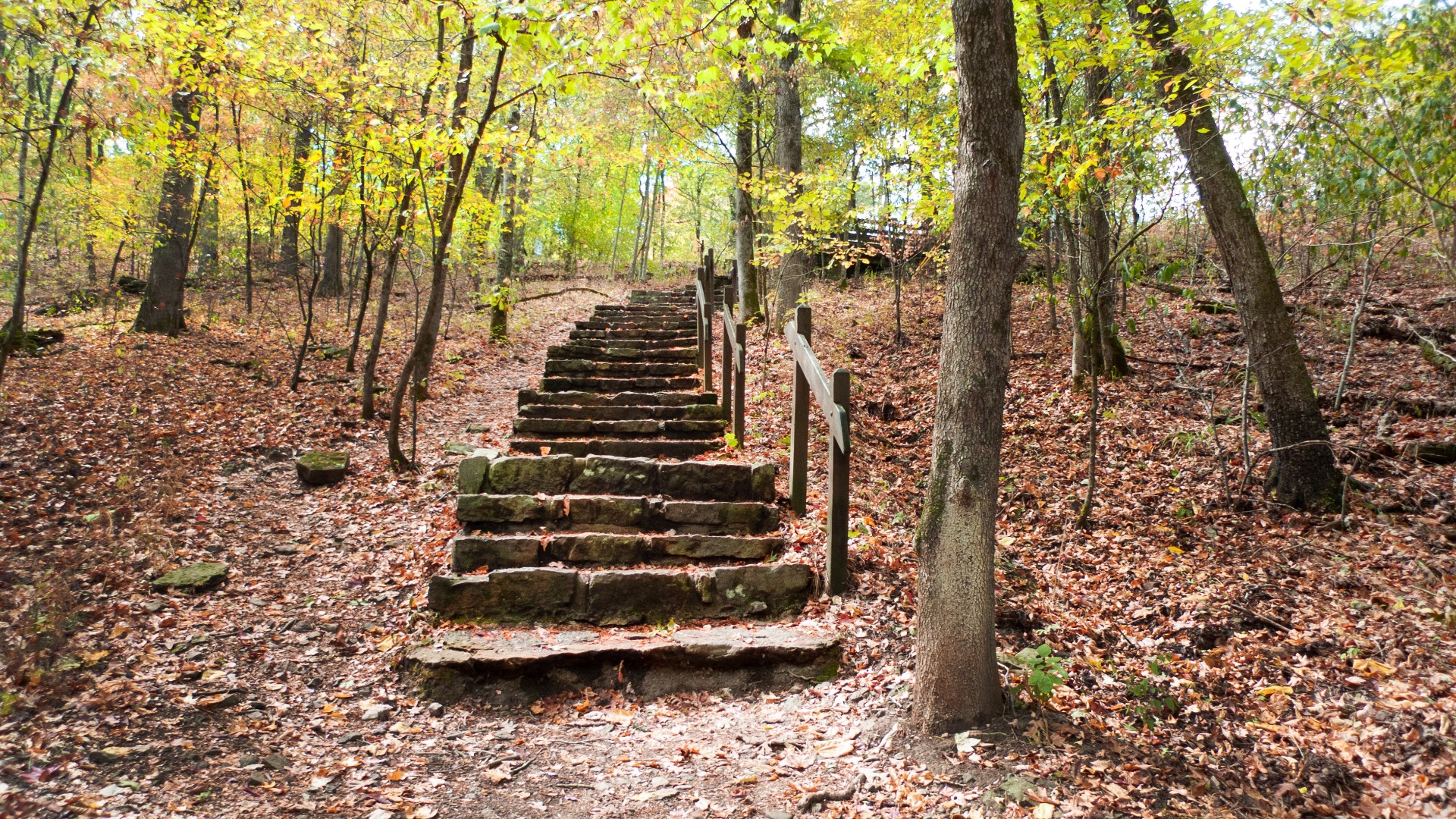 35 teams representing 13 international countries will bike, trek, and paddle the 390-mile race going through the Ozarks.