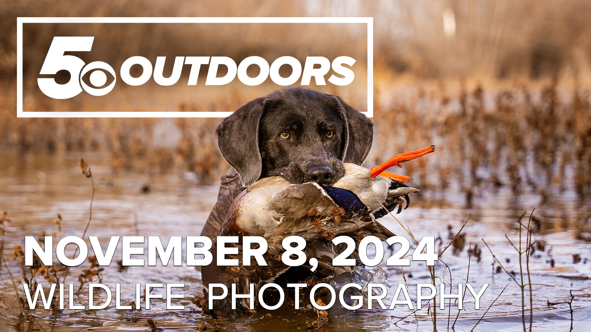 In this week's edition of 5OUTDOORS, Skot visits with Michael Parker, a local photographer working to inspire the next generation of hunters.