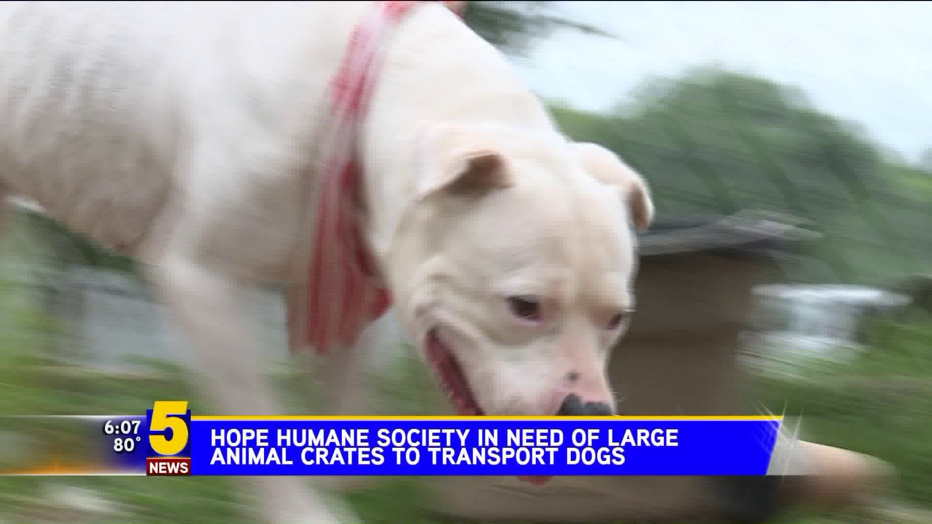 HOPE Humane Society in Need of Large Animal Crates to Transport Dogs