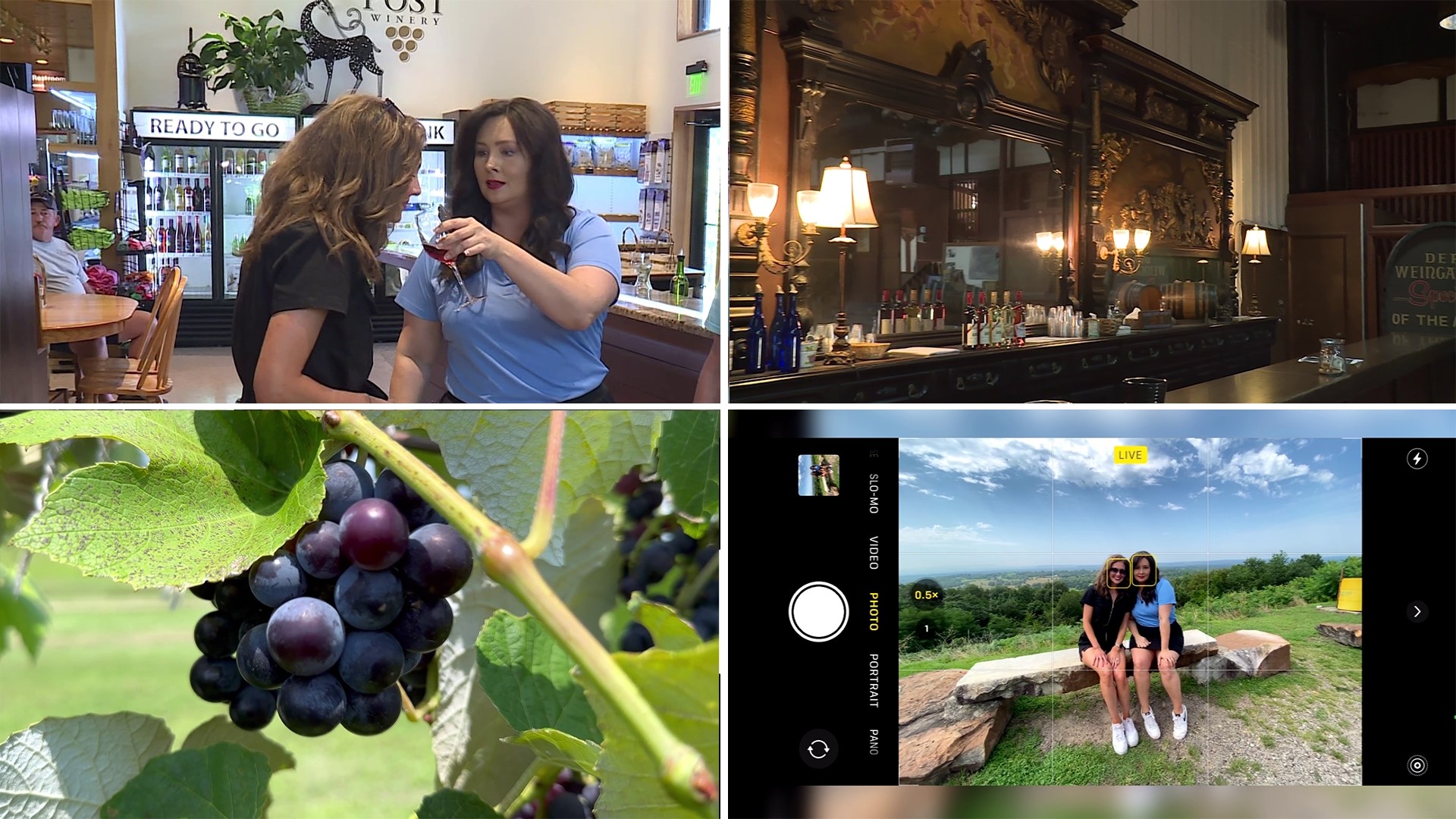 Morning anchors Tiffany Lee and Jo Ellison stopped by a couple of vineyards in their trip to the Wine Capital of Arkansas: Altus.