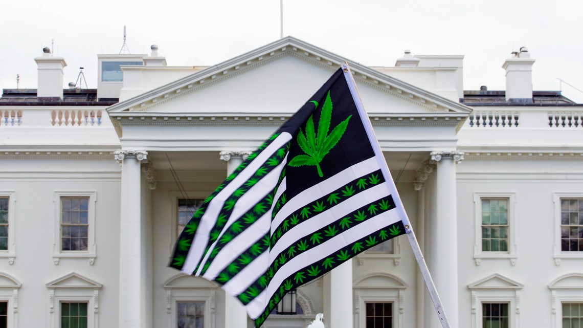 Biden's pardons could boost marijuana legalization in Arkansas - Vimarsana News
