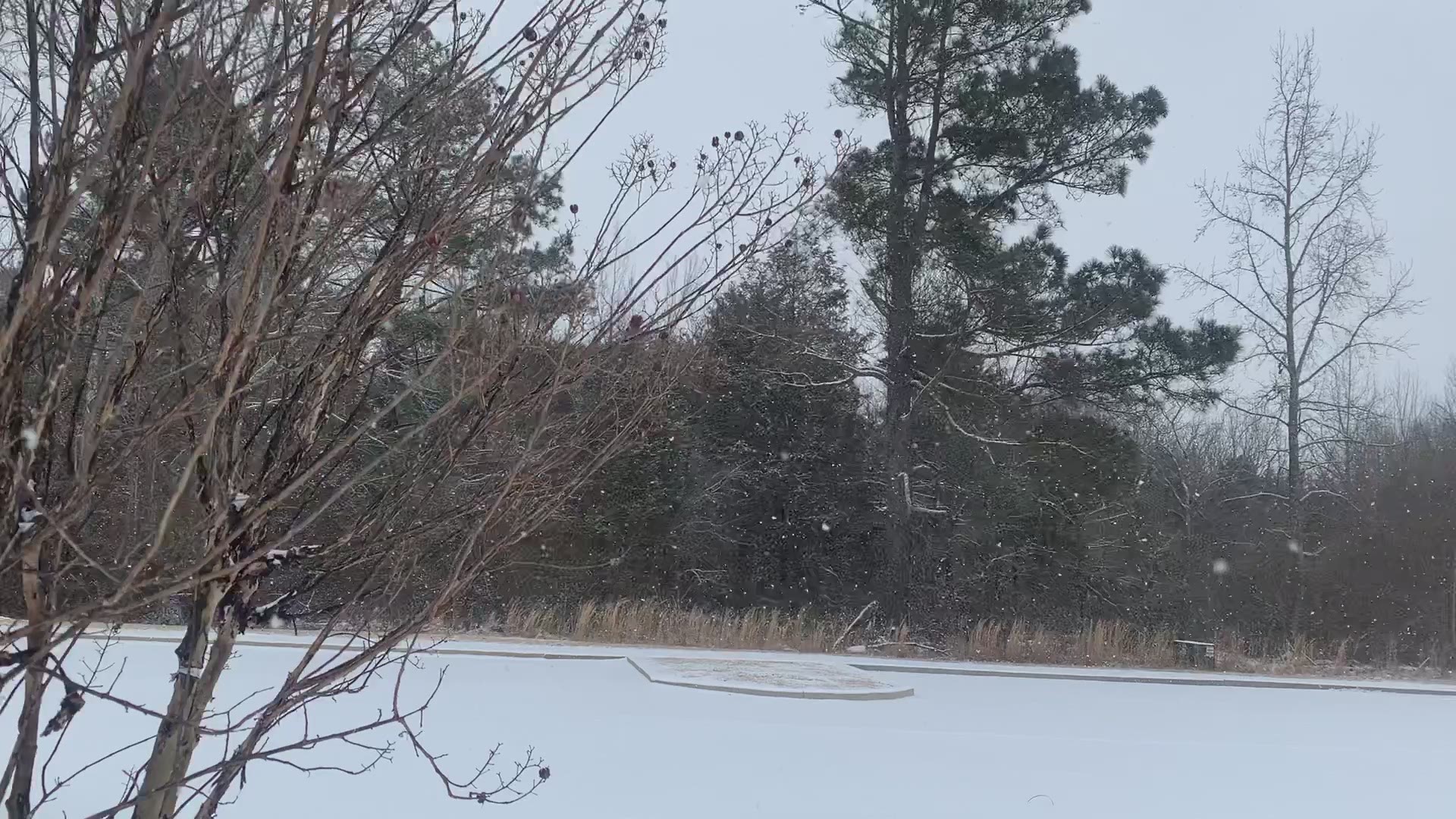 This is video of snow falling in Fort Smith Sunday (Feb. 14) morning at 11:40 a.m.