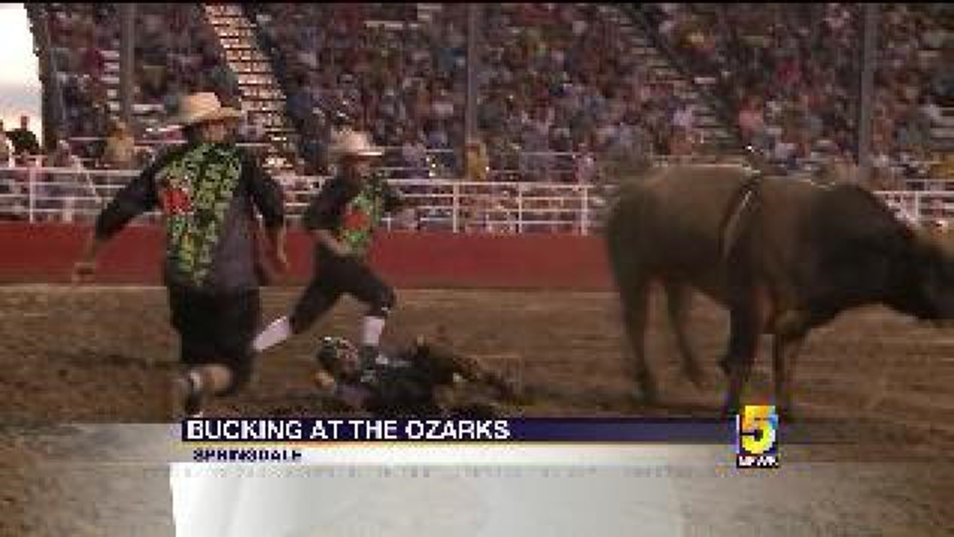 Cowboys From All Over The World Ride Bull At Parsons Stadium
