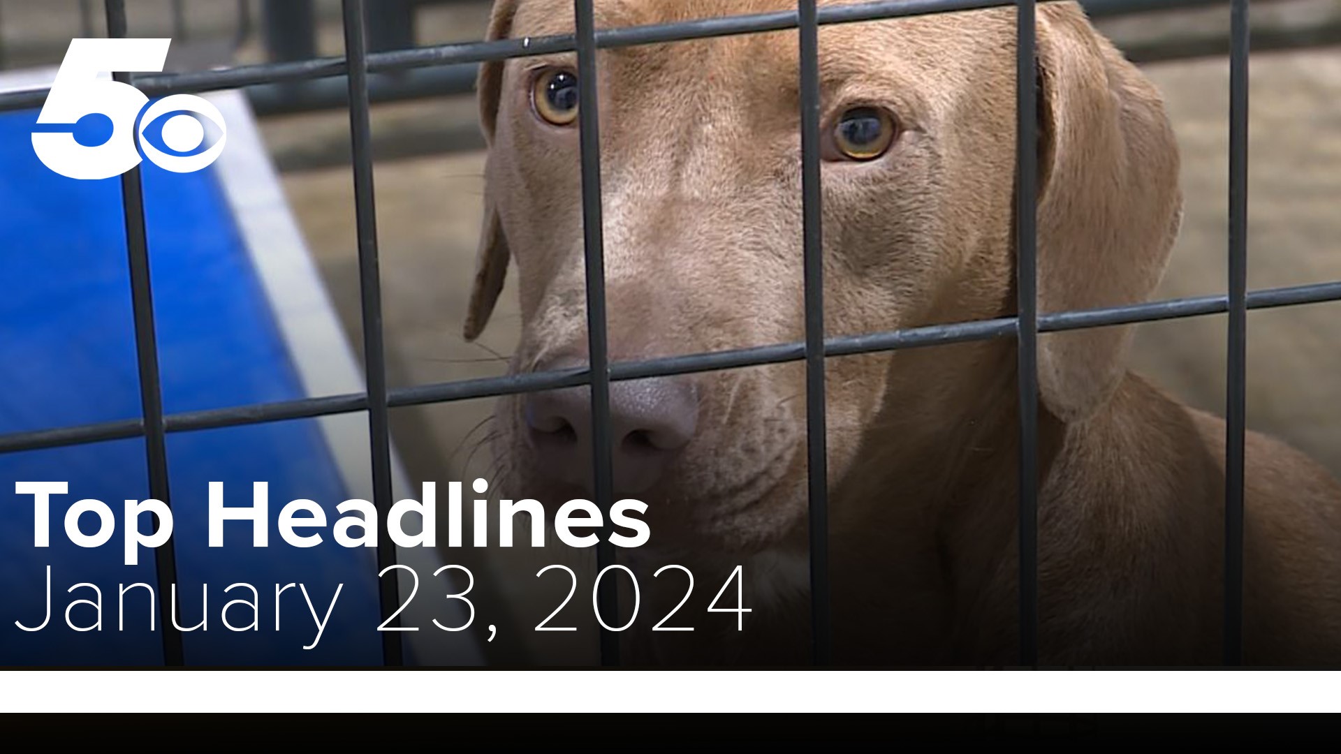 Watch today's top headlines to learn more about free spaying and neutering in Fort Smith.