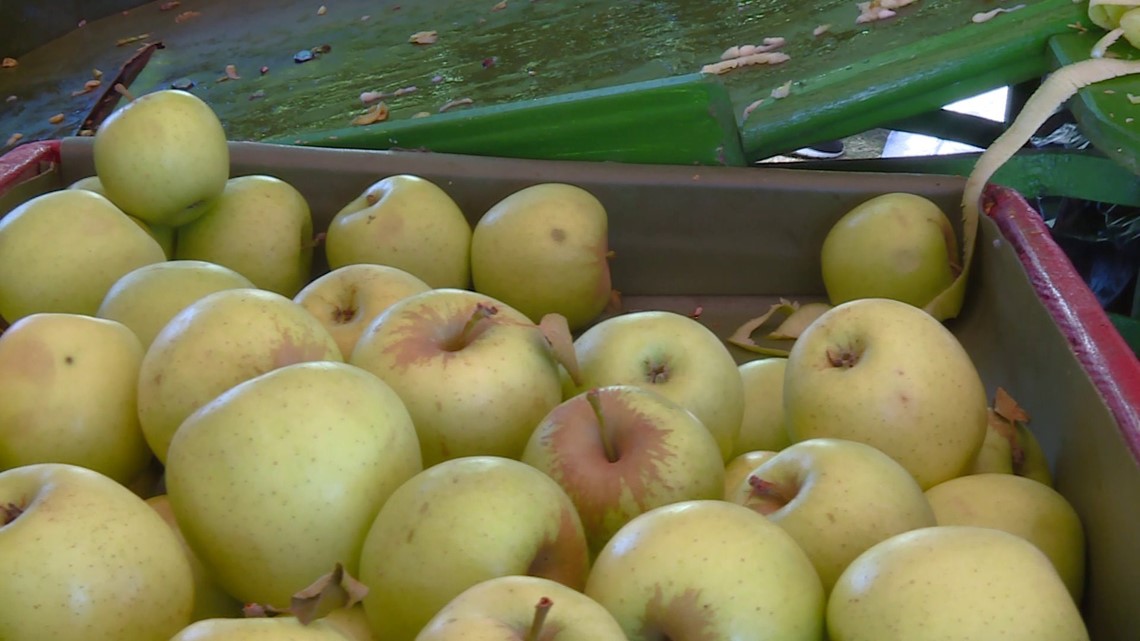 City Of Lincoln Hosts 42nd Annual Arkansas Apple Festival