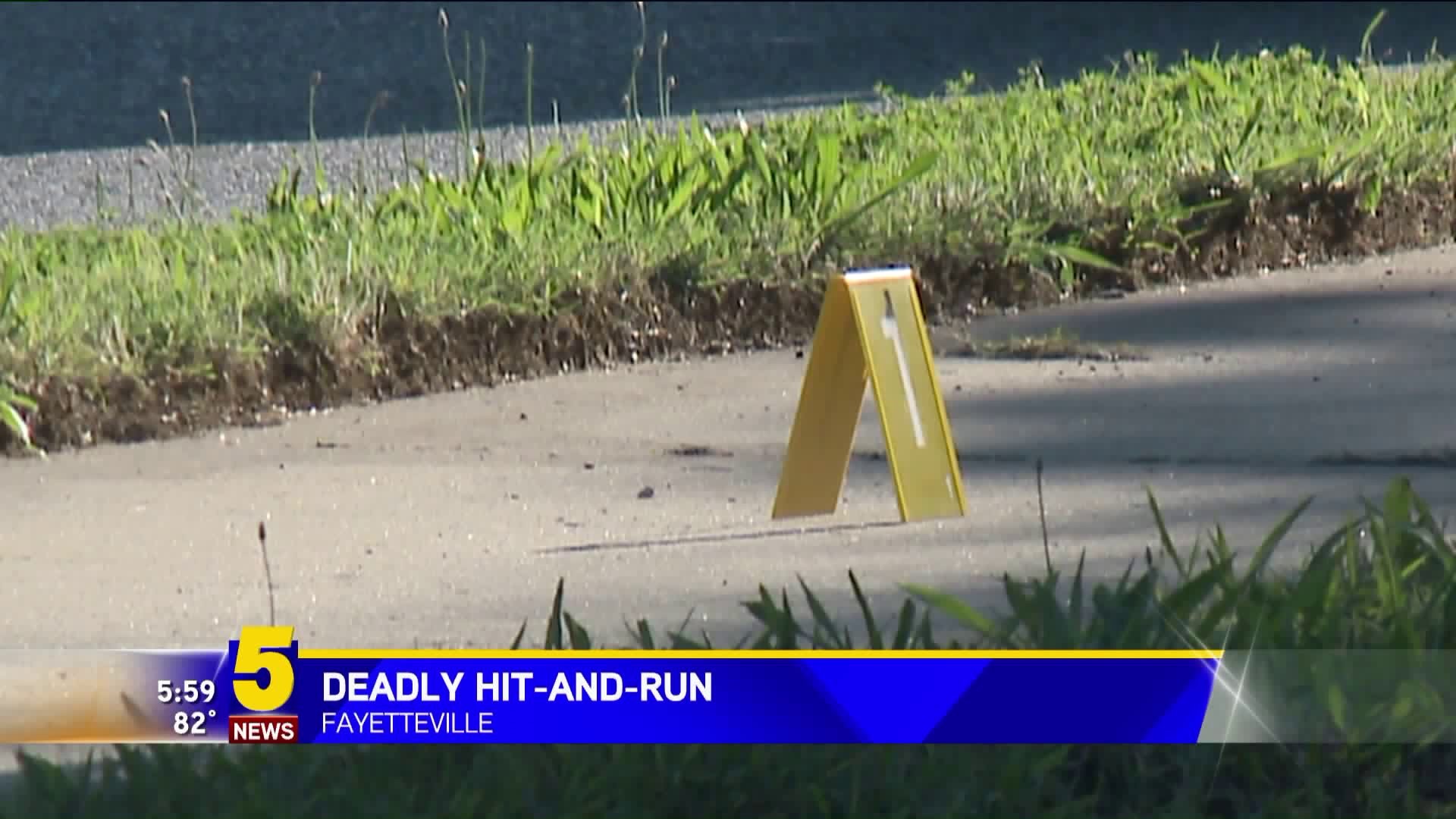 Deadly Hit-And-Run