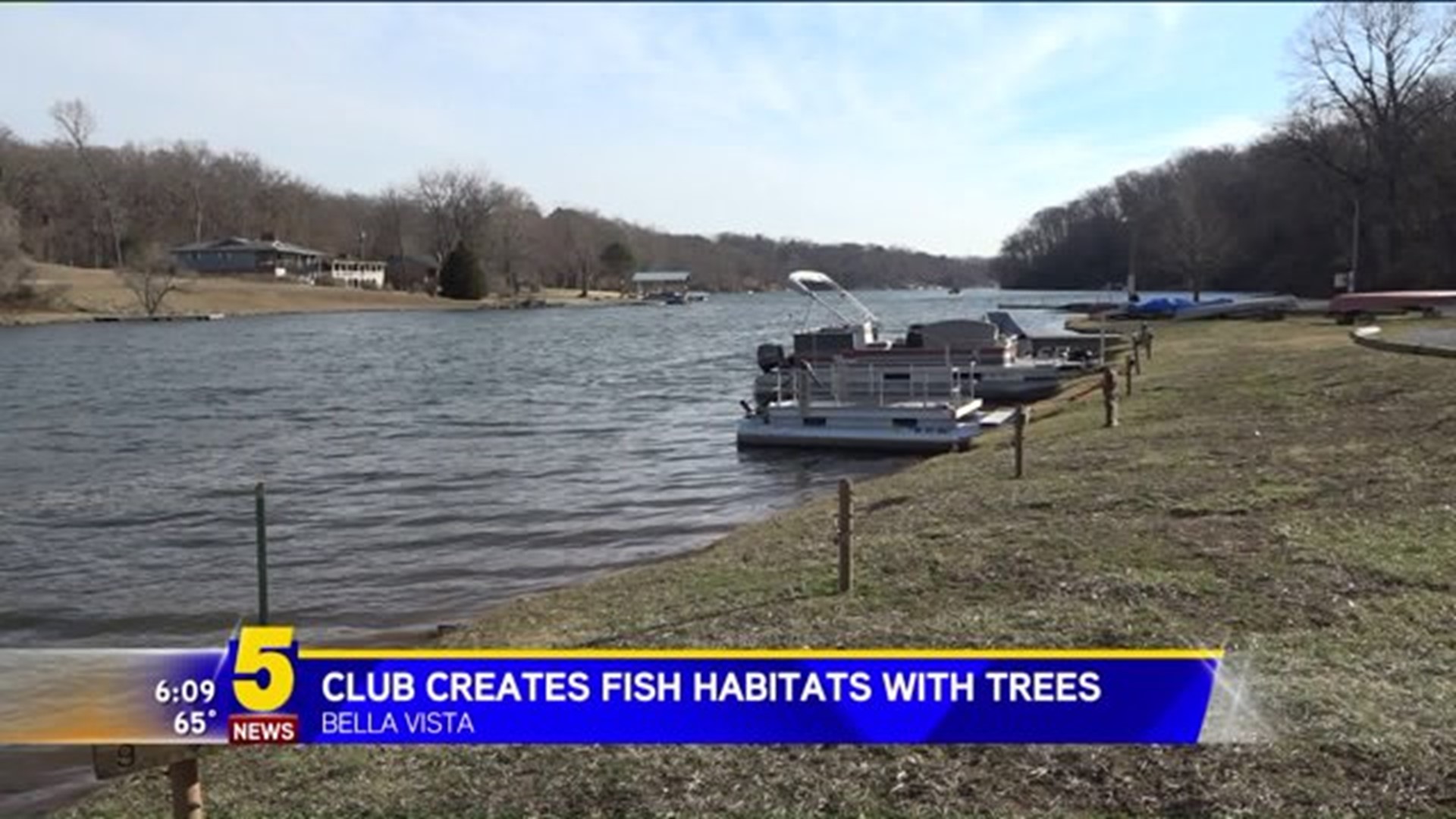Club Creates Fish Habitats With Trees