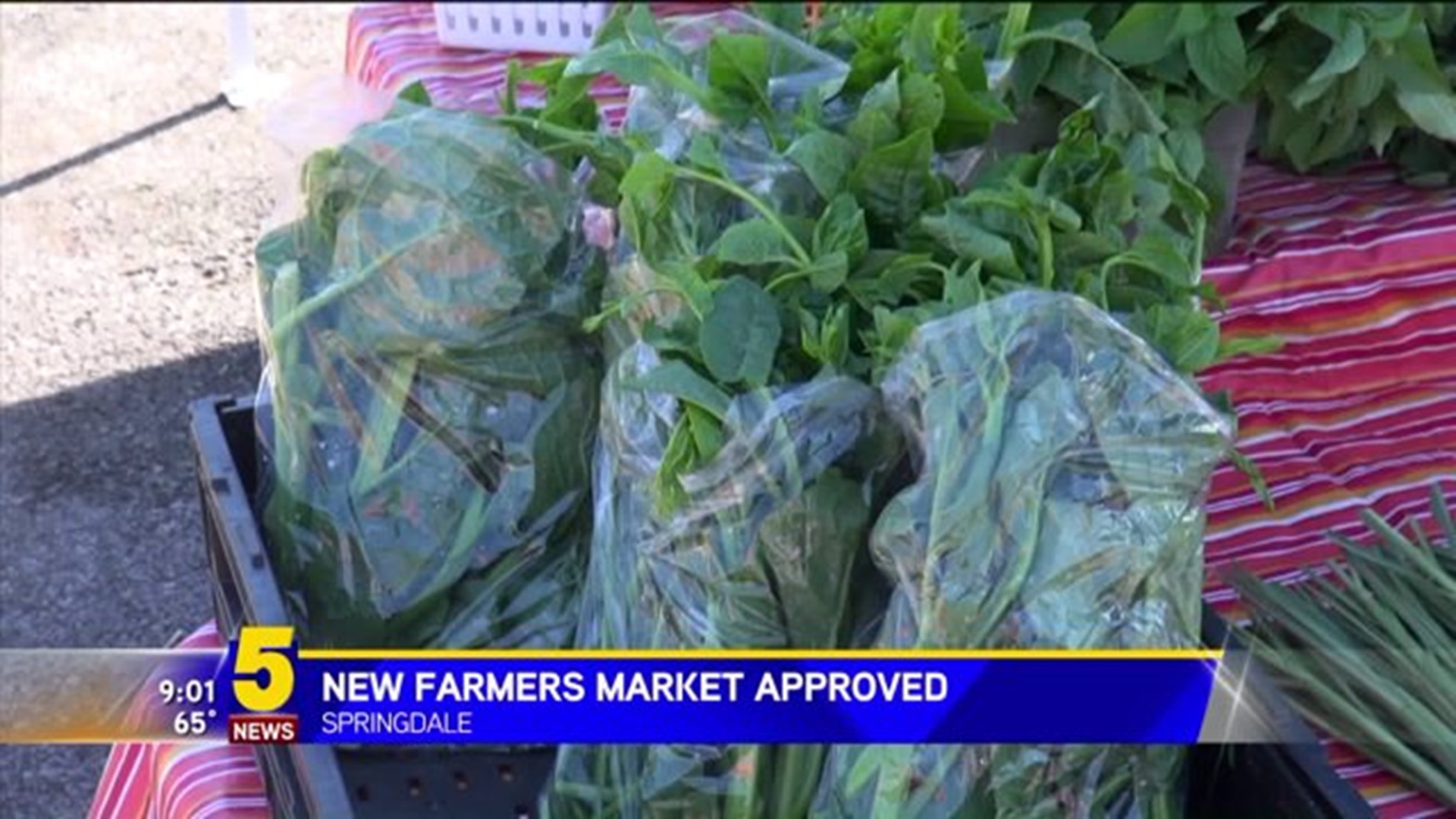 Springdale Council Approves Farmers Market