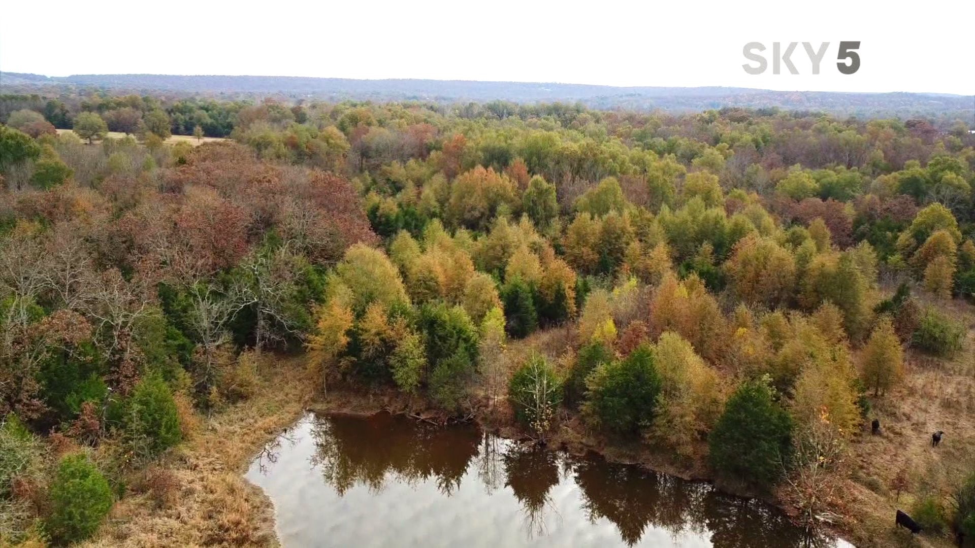 Fall Colors with Sky5
