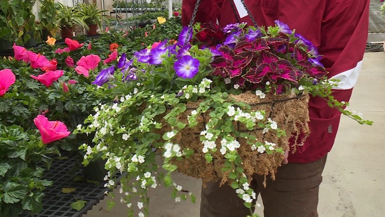 Sharum’s Garden Center Tips: Spring Has Sprung, New Inventory And Renovations