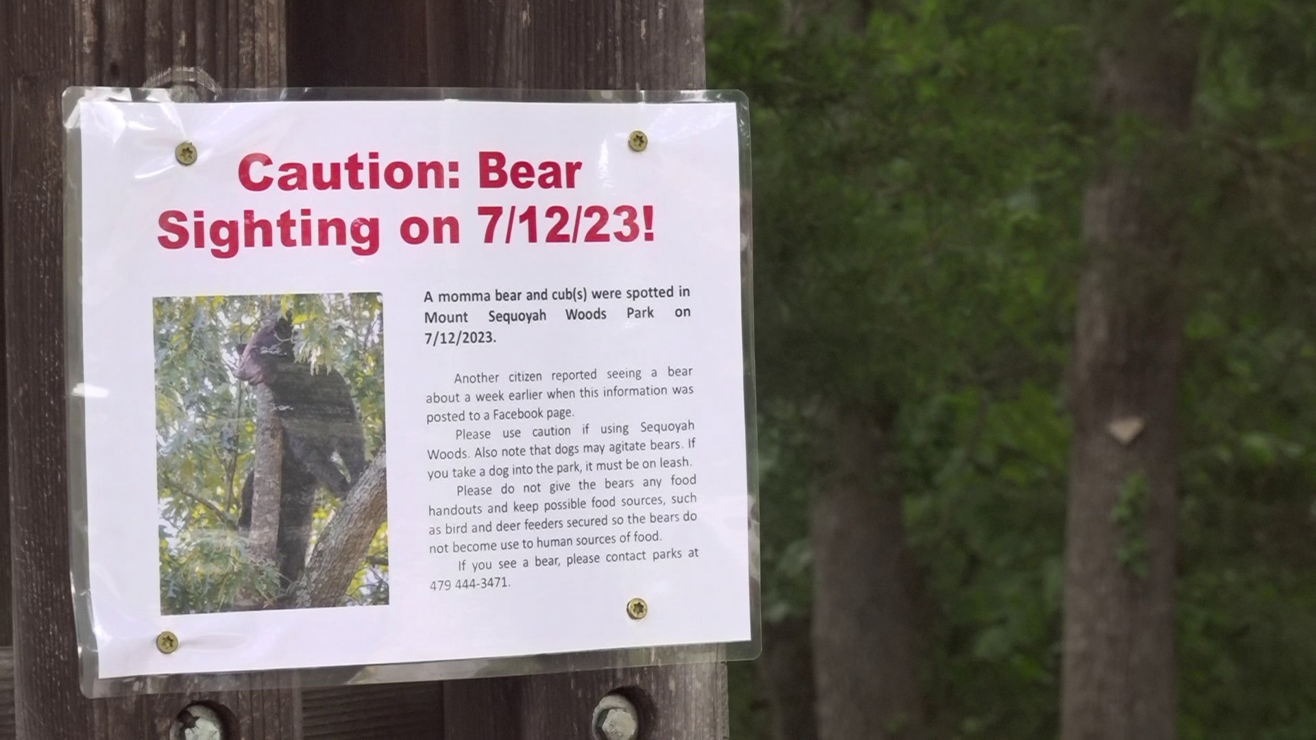 After Fayetteville Parks and Recreation reported a black bear sighting in the city, we reached out to experts with the department.